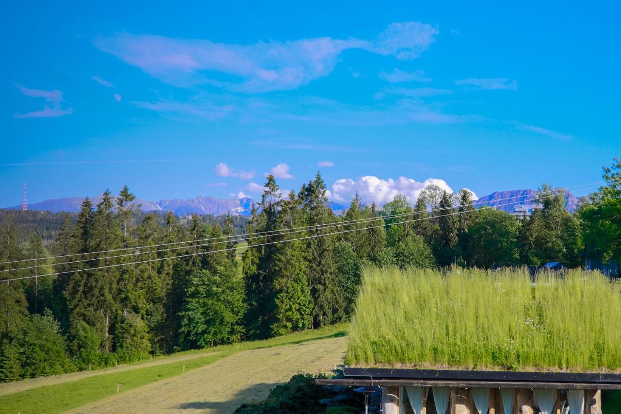 Alpejska Szarotka Villa Nowe Bystre Luaran gambar